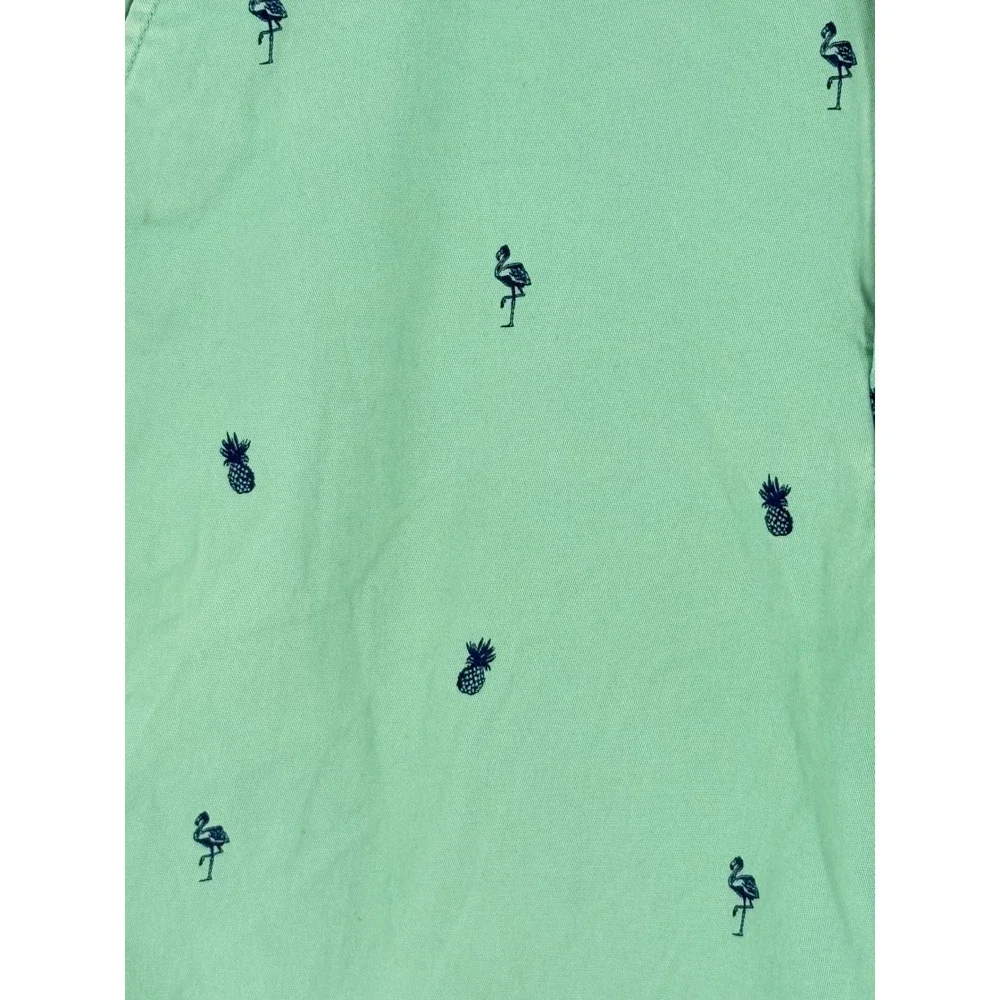IZOD Saltwater Chino Shorts Mens 38 Green Flamingo Pineapple Nautical  Summer